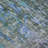 Machine Washable Indoor/Outdoor Claudian ACN1237 Fern Rug-103708894