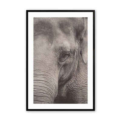 Wise Gaze Print, in a Frame,
