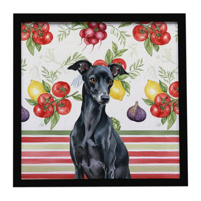 Black Italian Greyhound Vegetables Framed Metal Print