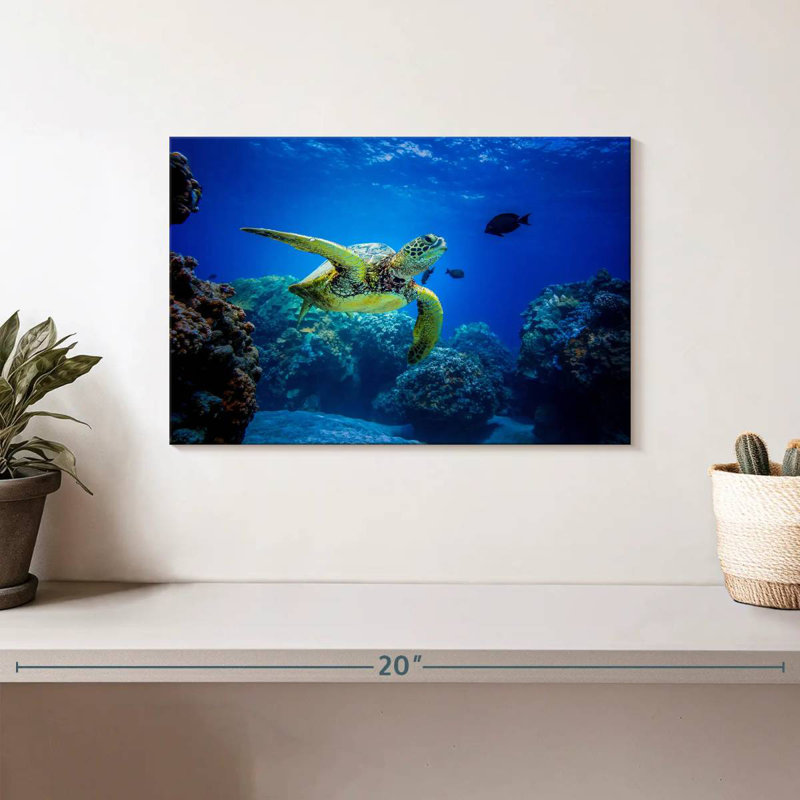 Crowle Glowing Turtle, 8" H x 12" W