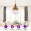 Luminaire suspendu en verre 13 po Boho Ripple