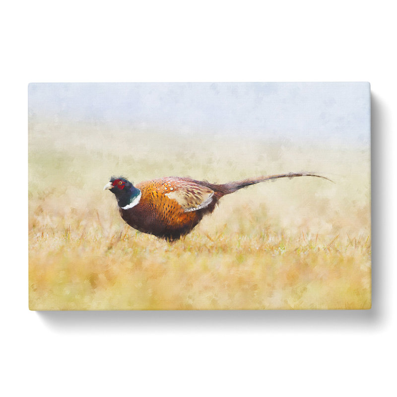 A Pheasant Bird - Wrapped Canvas Painting, 45cm H x 76cm W x 4cm D