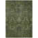 Machine Washable Indoor/Outdoor Chayil ACN1082 Olive Rug