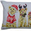 Coussin décoratif de Noël en mélange de coton 14 po x 20 po avec fermeture à glissière chat blanc et rouge