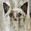 « brown-avec cat », reproduction d’art sur toile tendue-20746626