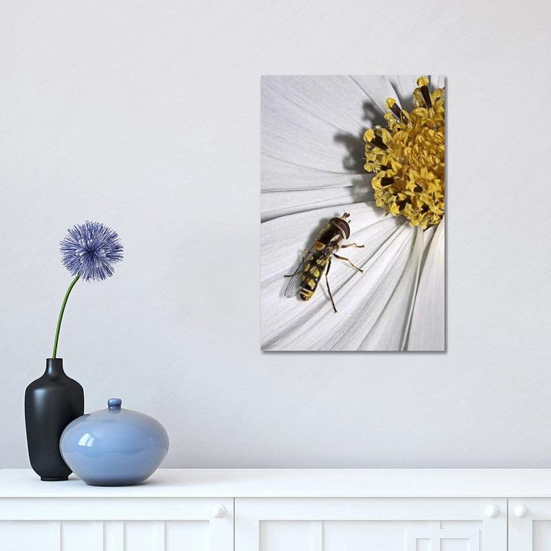 One 1 Piece Wrapped Canvas Wall Art, 30.48 cm H x 45.72 cm W