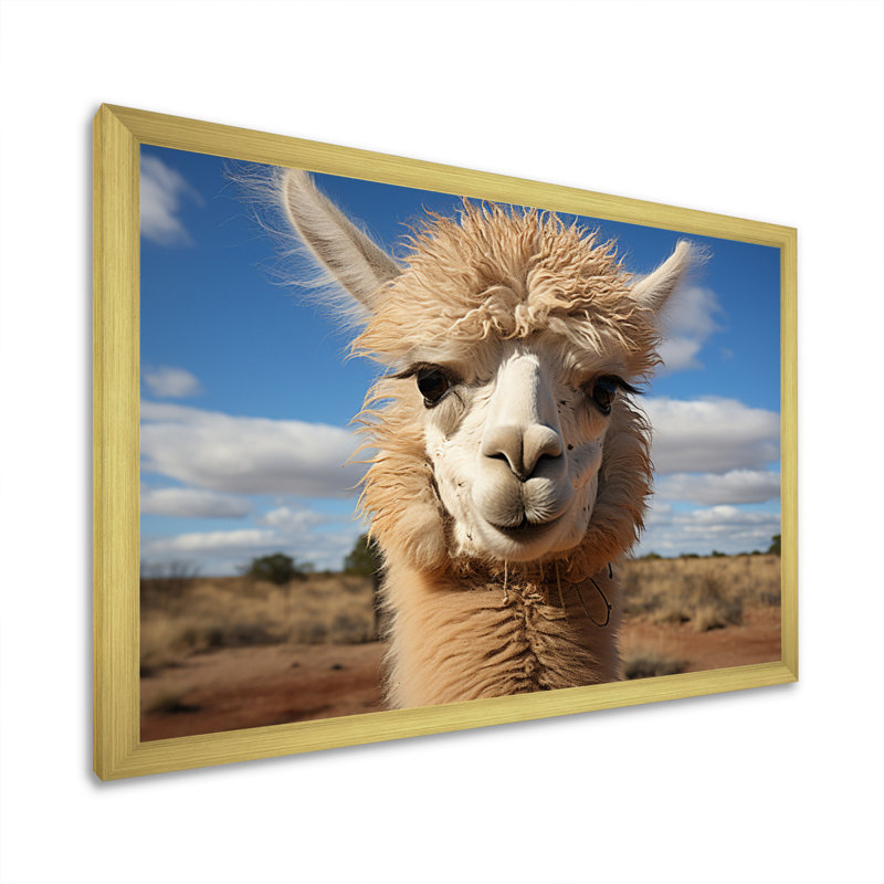 " Alpaca Vibrant Portrait I ", Gold Picture Framed, 24" H x 32" W x 1" D