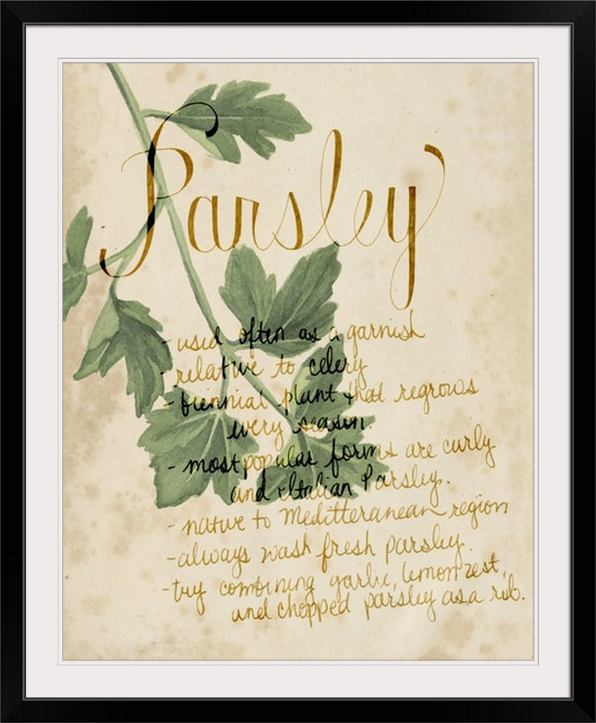«Herb Study V» Grace Popp, reproduction d'art, Cadre noir, H 38 po x l 32 po x P 1 po