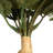 Roses Bush-1049466424