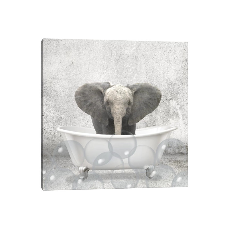 Baby Elephant Bath by Kimberly Allen - Wrapped Canvas Print, 45.72 cm H x 45.72 cm W x 3.175 cm D