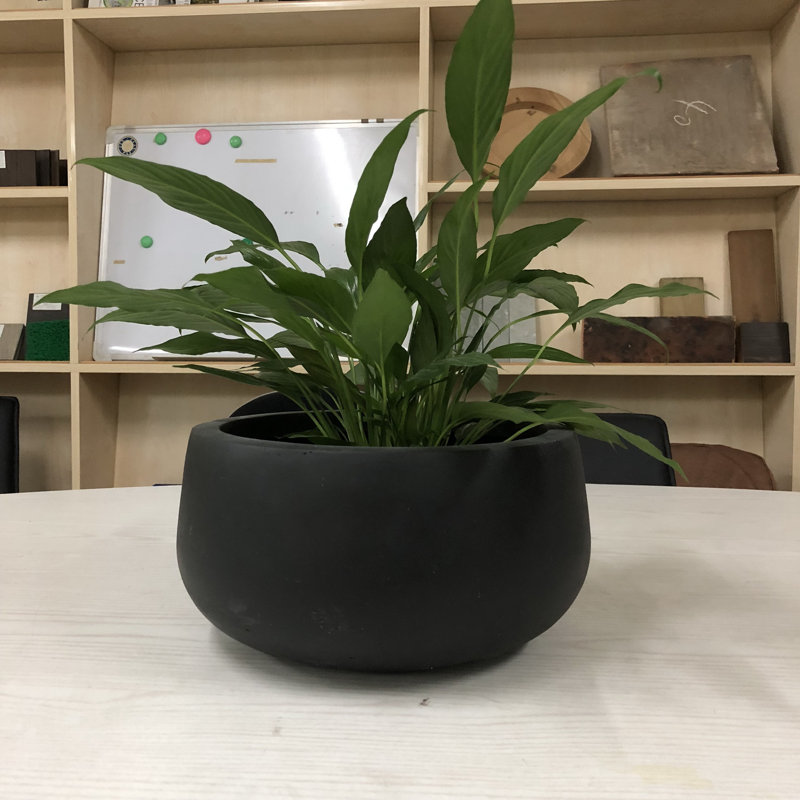 Pot à fleurs en béton Dovenby, Anthracite, H 6 po x l 12 po x P 12 po