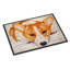 Tapis de porte d'extérieur antidérapant Tyro Fiona Corgi-134950515