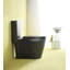 Creationstry GPF Elongated Floor Mounted One-Piece Toilet (Seat Included)