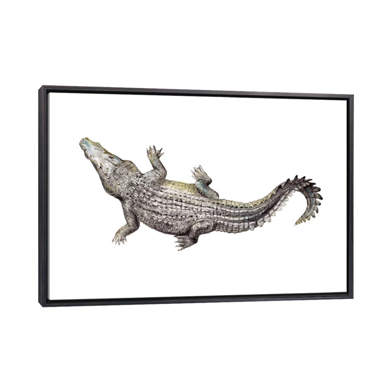 Croc par Wandering Laur - impression d'art graphique, Toile avec cadre noir patiné, Pas de tapis