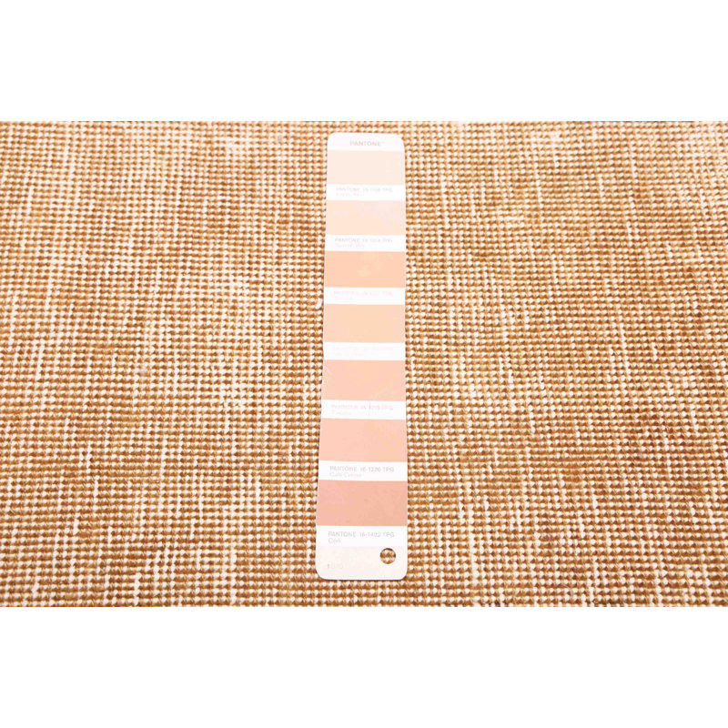 Tapis brun clair Antalya 2 pi 4 po x 12 pi 8 po
