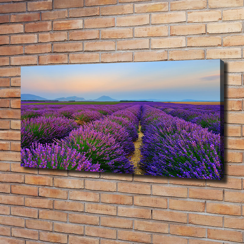 Lavender Field - Wrapped Canvas Print