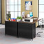 78cm Wide 2 -Drawer File Cabinet-1162867469