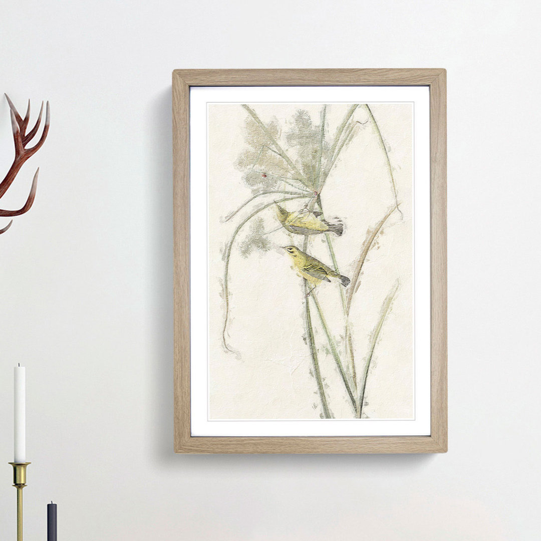 Prairie Warbler Birds by John Audubon - Picture Frame Painting Print
