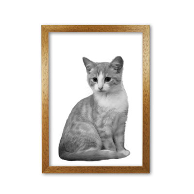 Cat - Print