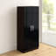 Arkadij 2 Door High Gloss Manufactured Wood Wardrobe With Internal Shelf and Hanging Rail-1568472799