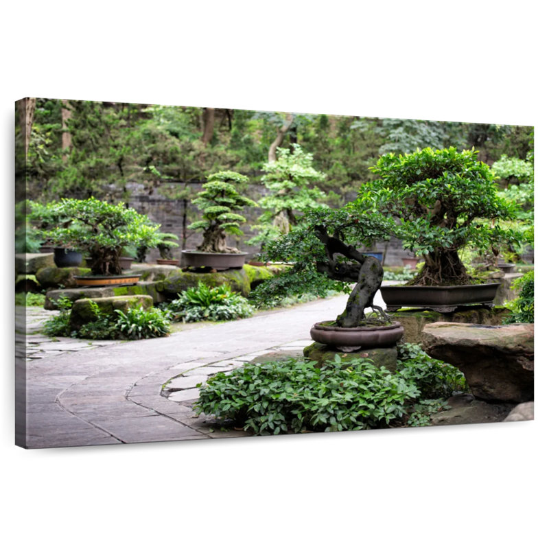 Harnek Bonsai Trees, H 34 po x l 51 po