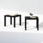 Table basse carrée simple Ebern Designs, ensemble de 2, noir-2003352587