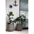 Pot Planter-1557584538
