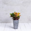 Pot à fleurs en pierre Alaunah-97461803-100665307