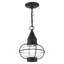 Lanterne suspendue d'extérieur 1 lumière H 9,75 po Rodolfo-1222937408