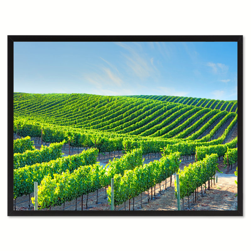 «Napa Valley California», reproduction de photo sur toile avec cadre photo, 28 x 37