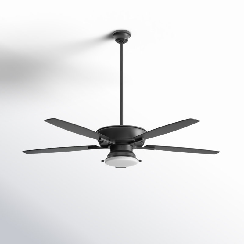 Braylie 52'' Ceiling Fan with LED Lights, Black