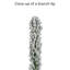 7.5' Lighted Artificial Spruce Christmas Tree