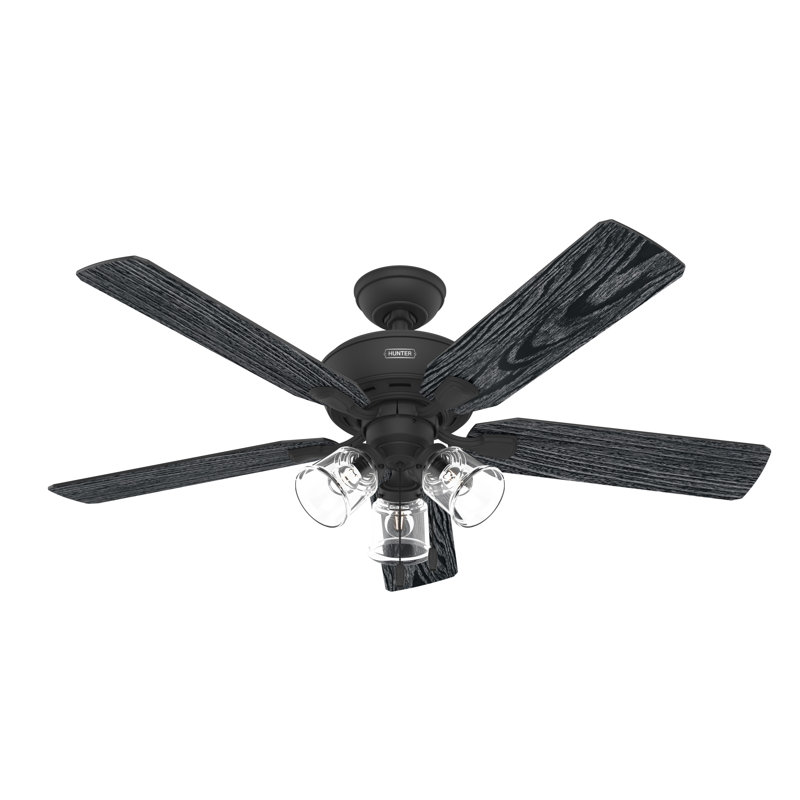 52" Rosner 5 - Blade Ceiling Fan With Lights and Pull Chains, Matte Black