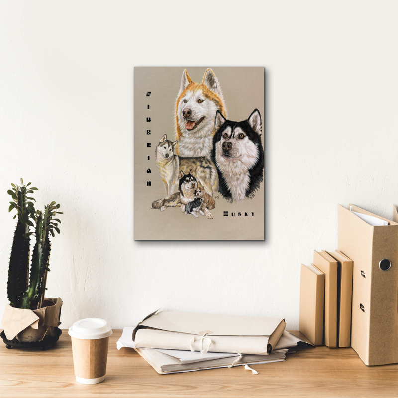 «Husky sibérien» par Barbara Keith, H 16 po x l 12 po