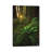 Peeking by Peter Coskun - Floater Frame Gallery-Wrapped Canvas Giclée on Canvas-1557683364-1557683373