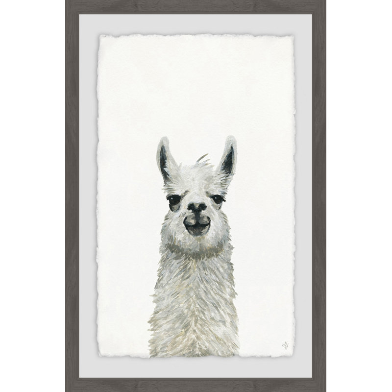 Rashad Llama Close-up - Single Picture Frame Painting, 30cm H x 20cm W