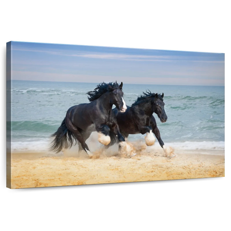 Brampt Black Shire Horses