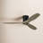 Rafaella 52'' Ceiling Fan-88327225-88327226
