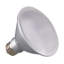 12.5 Watt LED Bulb-59797451