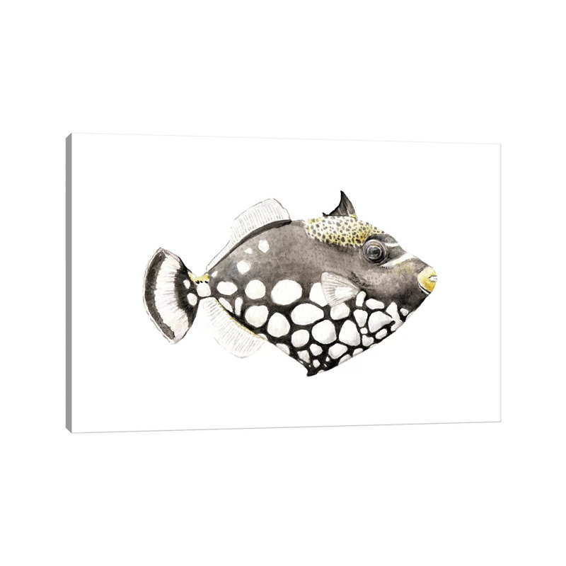 Tropical Clown Triggerfish by Wandering Laur - Wrapped Canvas Print, 101.6 cm H x 66.04 cm W x 3.175 cm D