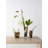 Squeeze Handmade Glass Table Vase-102042425