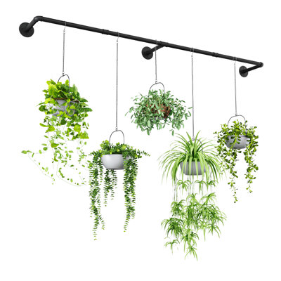 Cintre pour plantes d'intérieur 70 po, support de fenêtre en métal pour pots à fleurs suspendus (pots non inclus)