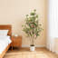 120cm Plant