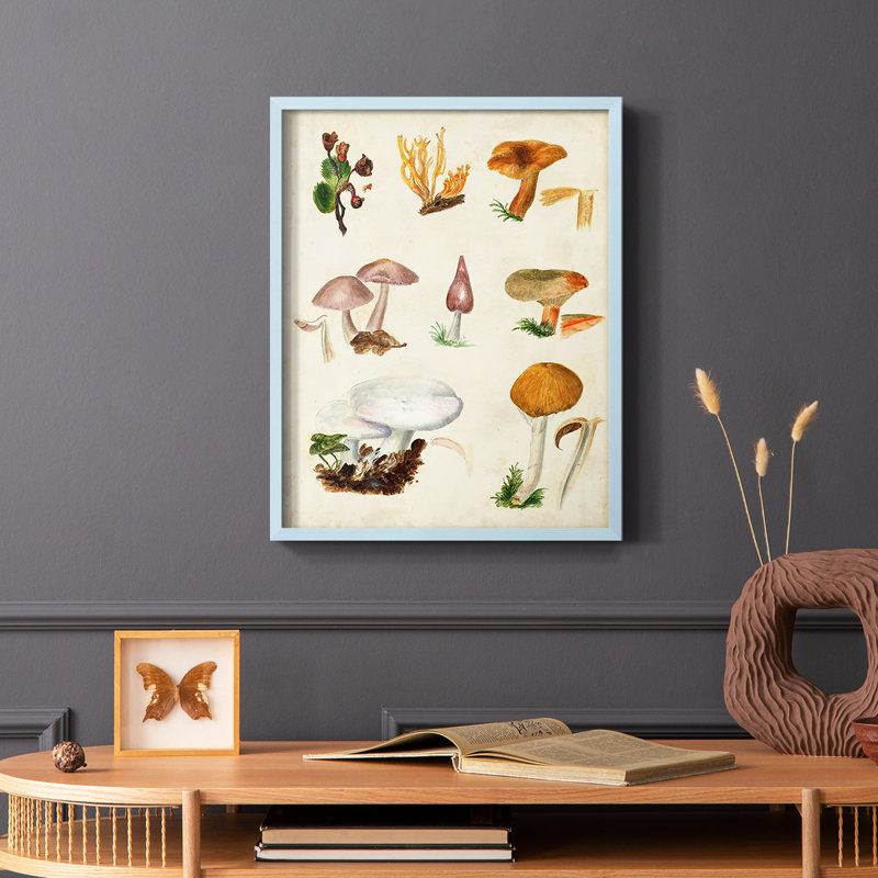 «Mushroom Species VI», reproduction encadrée - bois massif, H 10 po x l 8 po, Bleu
