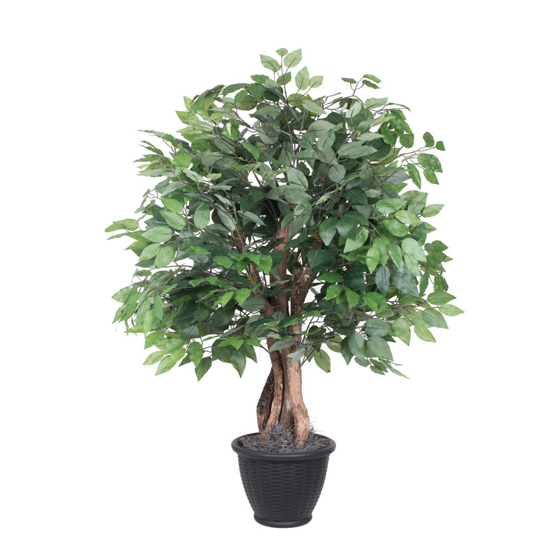 36'' Artificial Ficus Tree in Basket, Black