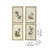S/4 Bird Framed Print, 15.5X23.5"