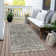 Machine Washable Indoor/Outdoor Xhevrie Pewter Rug