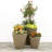 Self-Watering Dot TruDrop Plastic Pot Planter-81746607-81746610