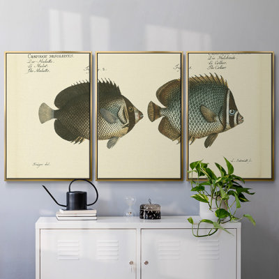 " Bloch Antique Fish V " 3 - Pieces