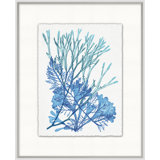 Azure Ocean Herbarium 2 Painting by Lillian August